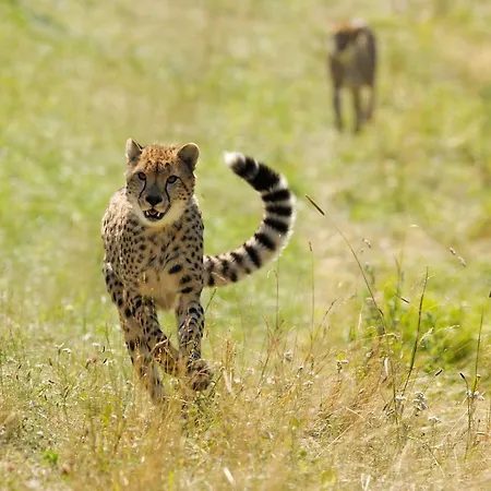 Ree Park Safari * Ebeltoft