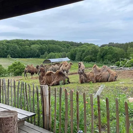 Ree Park Safari Séjour à la ferme Ebeltoft