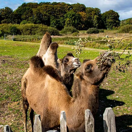 Κατάλυμα σε φάρμα Ree Park Safari