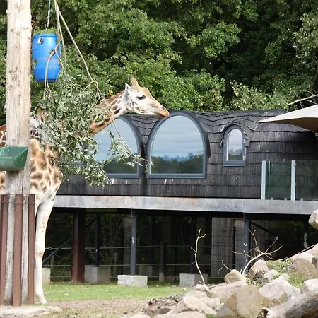 Ree Park Safari 埃贝尔托夫特