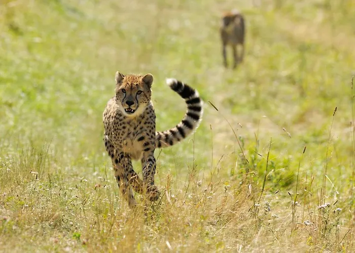 Ree Park Safari * Ebeltoft