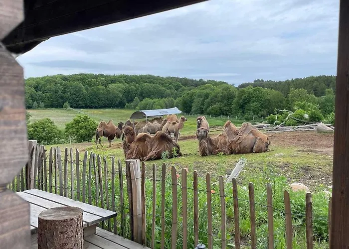 Ree Park Safari Feriegård Ebeltoft