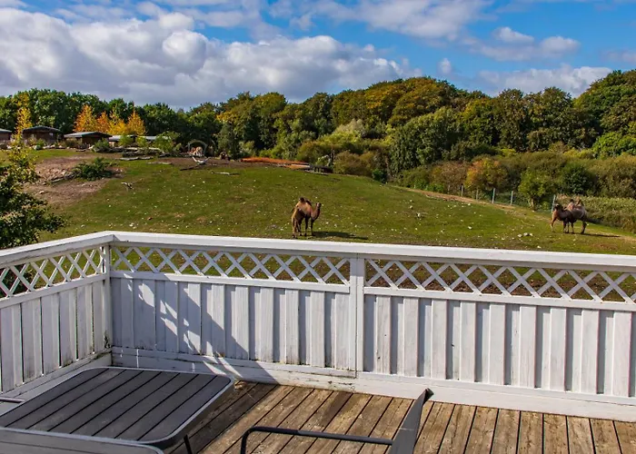 Feriegård Ree Park Safari Ebeltoft