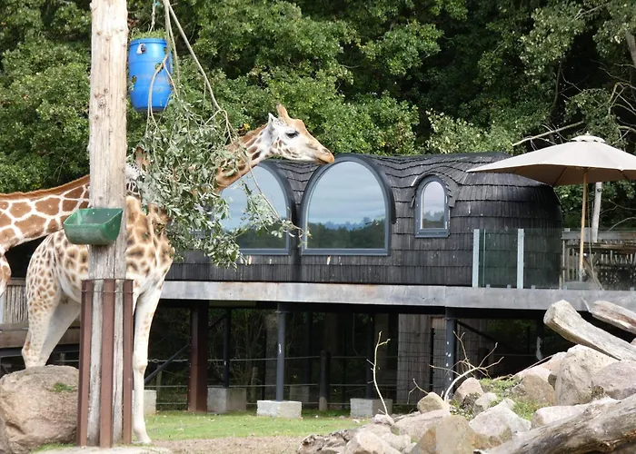 Ree Park Safari Ebeltoft