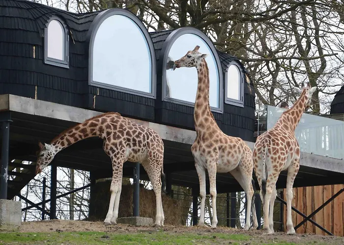 Ree Park Safari * エーベルトフト