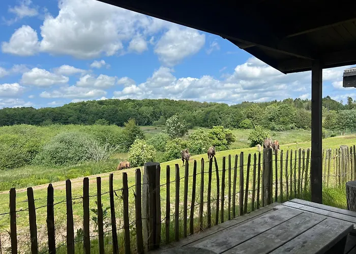 Feriegård Ree Park Safari Ebeltoft